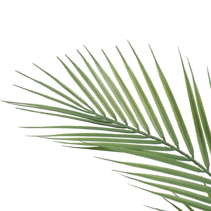 Artificial Palm 80CM Height Indoor Leaves Side View