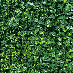 A photo of our customer artificial hedge with UV Protection after we installed it 18 months before - Still green
