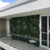 Balcony With Artificial Green Wall Plants