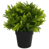 recycled artificial small potted mimosa fern