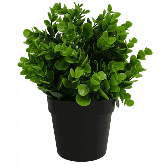 recycled small artificial Peperomia plant