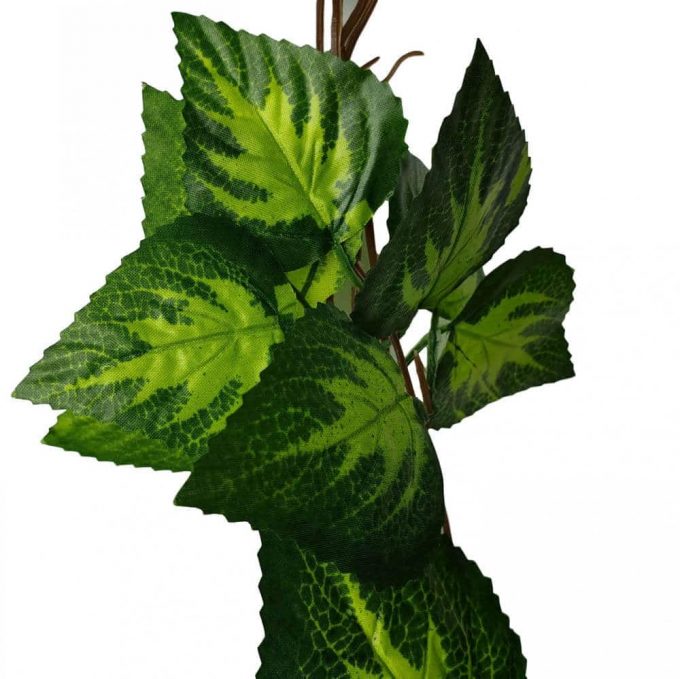 artificial pothos vine leaves
