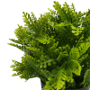 small potted faux fern