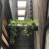 Pipe With Artificial Plants