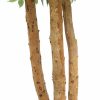 artificial ficus tree trunks