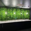 modern interior design for an office wall with green walls