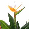 fake bird of paradise flower