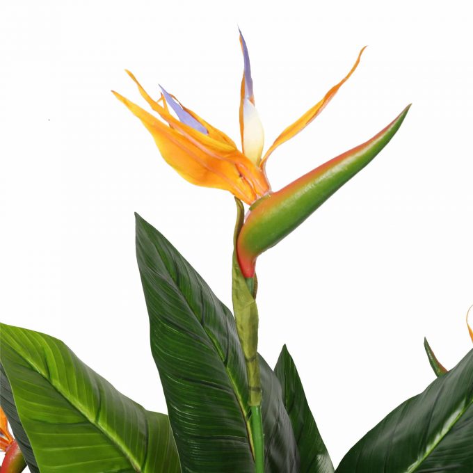 fake bird of paradise flower