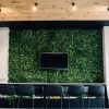 Office Green Wall Sydney With A TV Screen