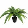 potted fake fern plant