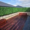 Jasmine Hedge Screen