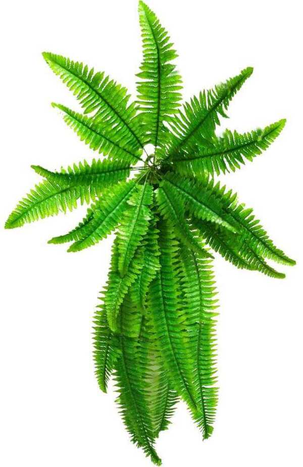 artificial Boston hanging garland