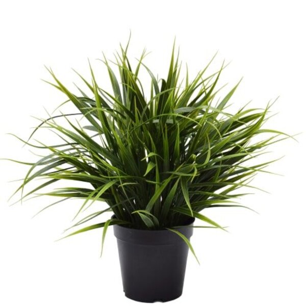 fake ornamental grass