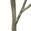 fake lemon tree branch