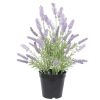 artificial lavender plant in a black pot