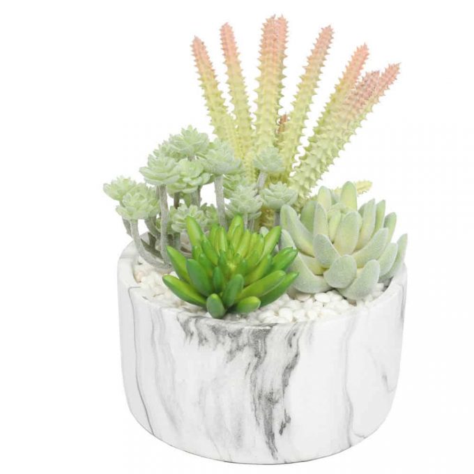 Artificial succulent plant in a decorative pot