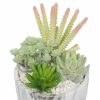 artificial succulent plant with pebbles