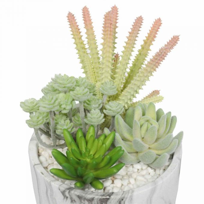artificial succulent plant with pebbles