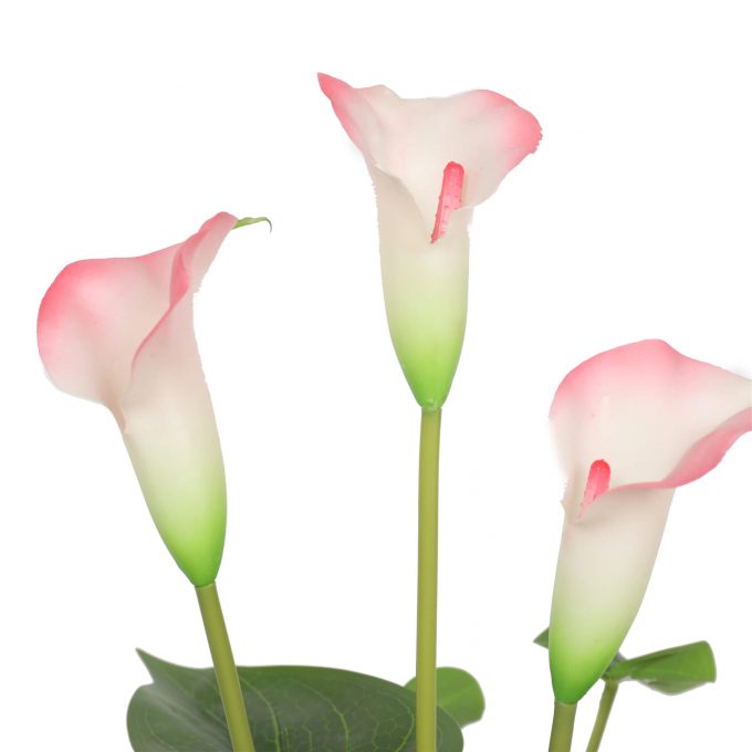 pink and white calla lily fake plant