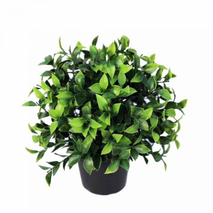 fake outdoor plant