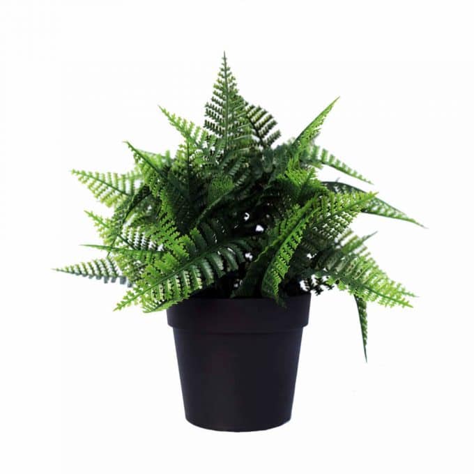 artificial fern plant in a pot