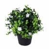 fake flowering boxwood outdoot plant