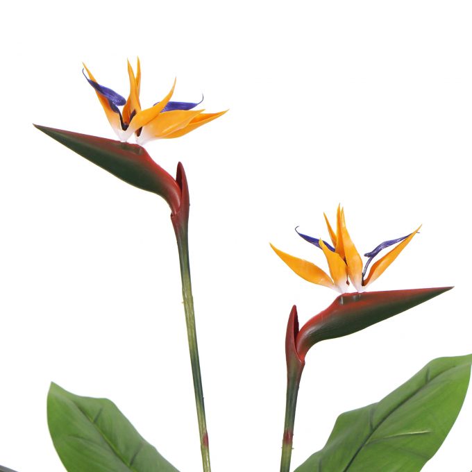 Medium Artificial Bird of Paradise in a Pot with 2 Flowers