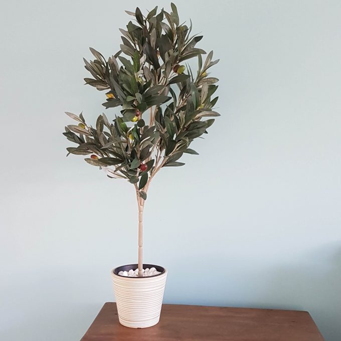 unique plant pots Australia with an fake olive tree