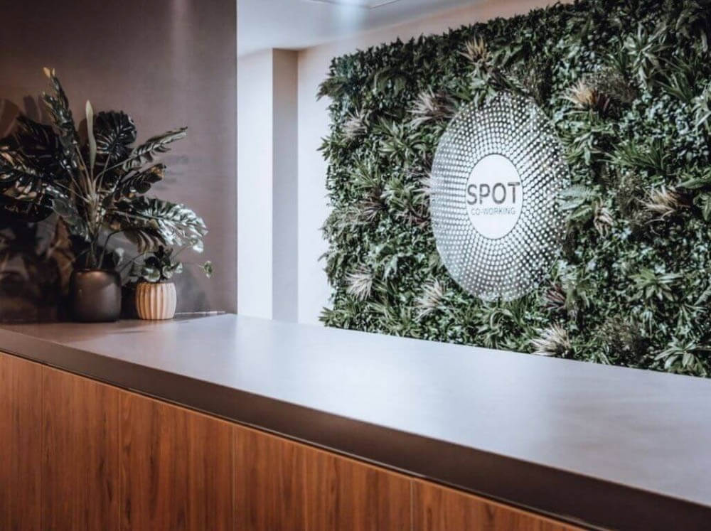 artificial green wall in a coworking space
