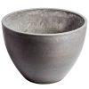wholesale decorative plant