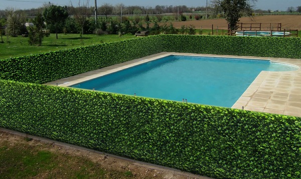 faux privacy hedges protecting a swimming pool