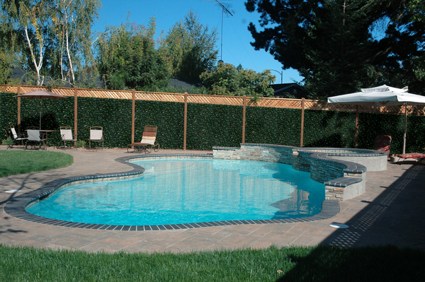 landscaping ideas for pools - home with plants and pool