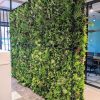 Premium Artificial Living Wall in Melbourne