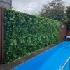 Poolside Renovation Green Wall