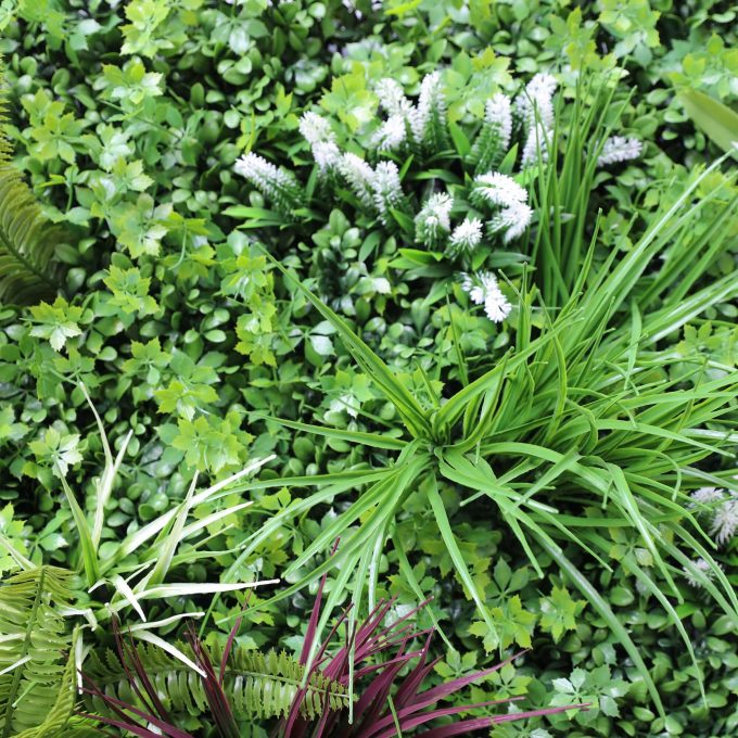 white flowers in an artificial vertical garden