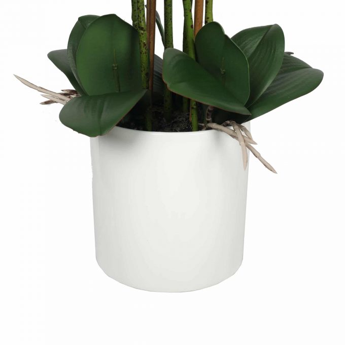faux potted orchid - white bowl