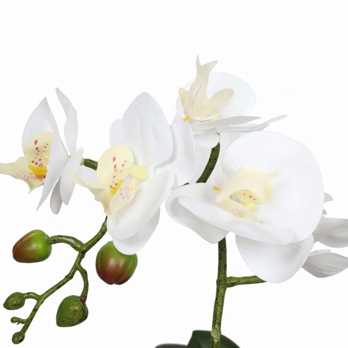 small potted faux white orchid single stem