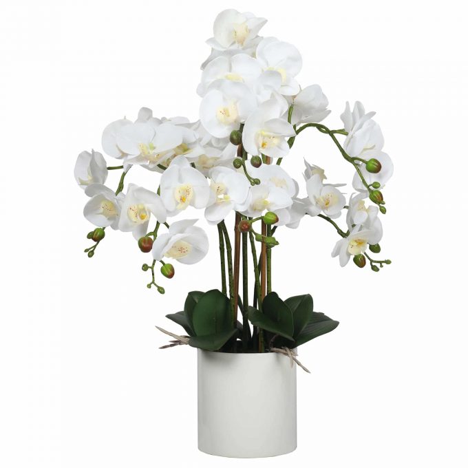 potted white faux orchid plant