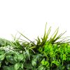 premium artificial green wall panel