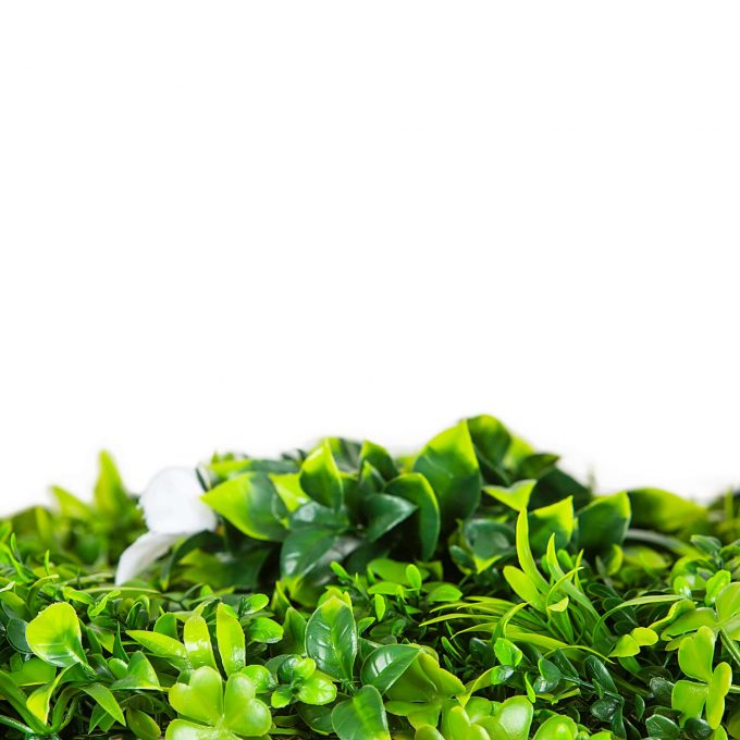 flowering green wall