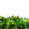 premium fake plants for a wall