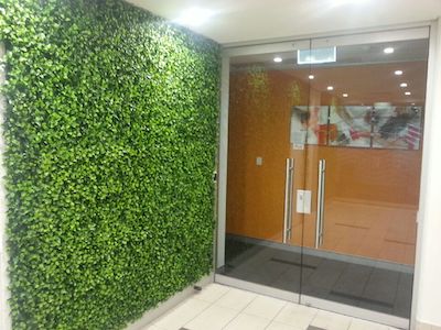Use greenery to spruce up your office post covid-19