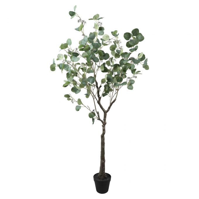 Potted Artificial Eucalyptus Tree (Red Box Eucalyptus polyanthemos )