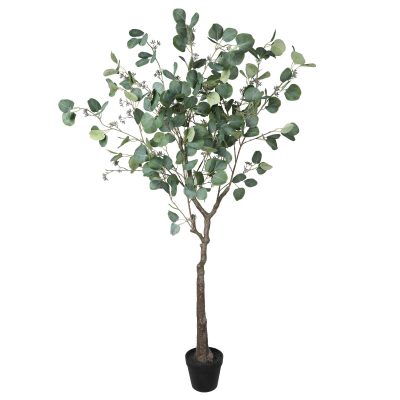 Potted Australian Artificial Eucalyptus Tree (Red Box Eucalyptus polyanthemos )