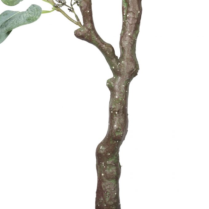 Trunk - Artificial Eucalyptus Tree (Red Box Eucalyptus Tree polyanthemos )