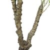 Trunk - Artificial Eucalyptus Tree (White Box Eucalyptus Albens)