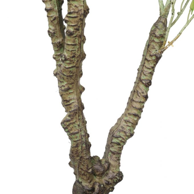 Trunk - Artificial Eucalyptus Tree (White Box Eucalyptus Albens)