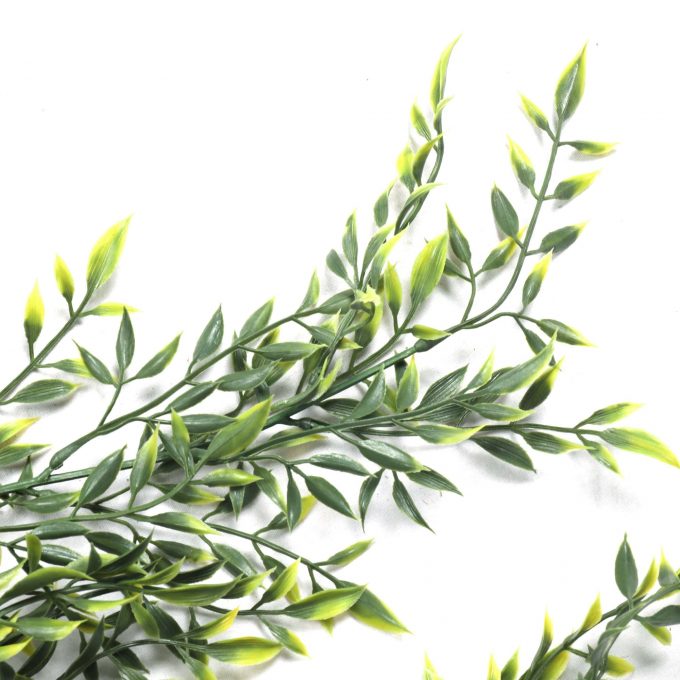 Artificial Hanging Ruscus Leaf Plant Leaves