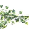 Artificial Hanging Plant With Heart Leaf Bush and Stem / Leaves