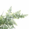 Faux Maiden Hair Fern Plant Hanging Plant